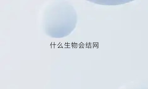 什么生物会结网(什么动物结网捉虫子)