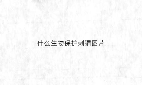 什么生物保护刺猬图片(什么样的刺猬是国家保护动物)