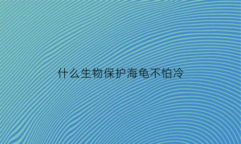 什么生物保护海龟不怕冷