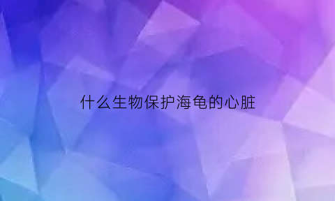 什么生物保护海龟的心脏(海龟保护法)