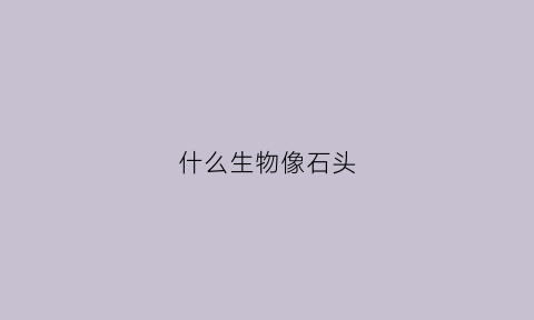 什么生物像石头(像石头的生物)