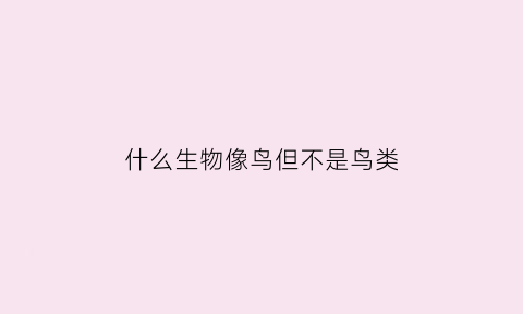 什么生物像鸟但不是鸟类(像鸟不是鸟身上没羽毛)