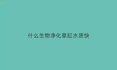 什么生物净化草缸水质快