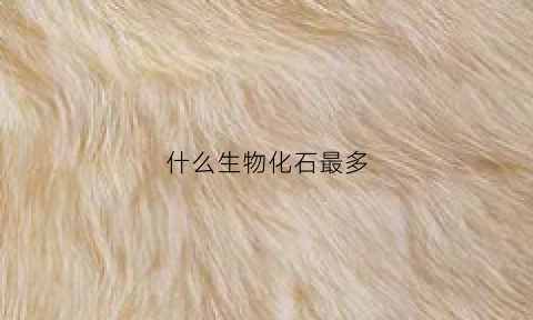 什么生物化石最多(常见的化石一般都是生物的什么部分)