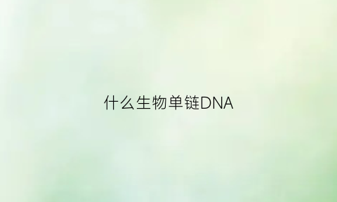 什么生物单链DNA(具有单链dna的生物)