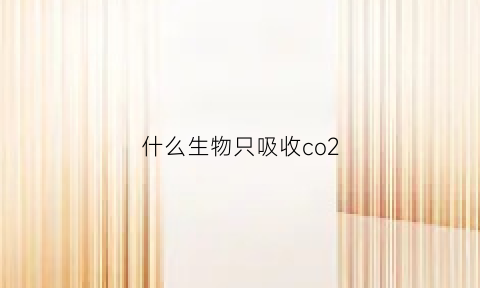 什么生物只吸收co2(哪种物质能吸收二氧化碳)