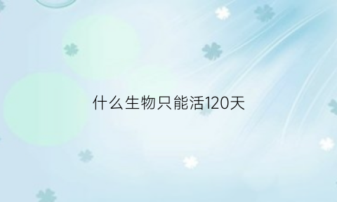 什么生物只能活120天(什么生物活得最久)