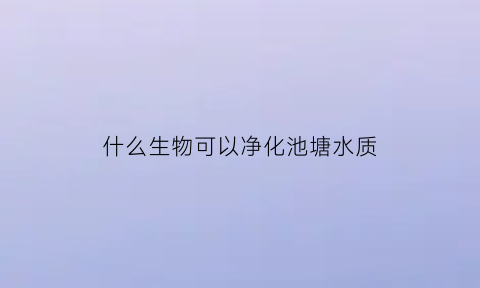 什么生物可以净化池塘水质(什么生物可以净化池塘水质呢)