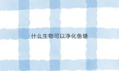 什么生物可以净化鱼塘(什么植物可以净化鱼塘水质)