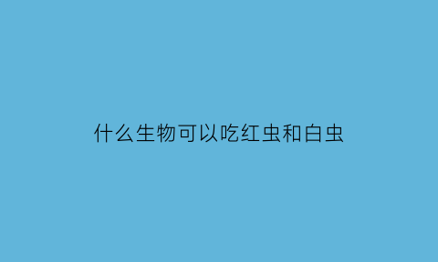 什么生物可以吃红虫和白虫