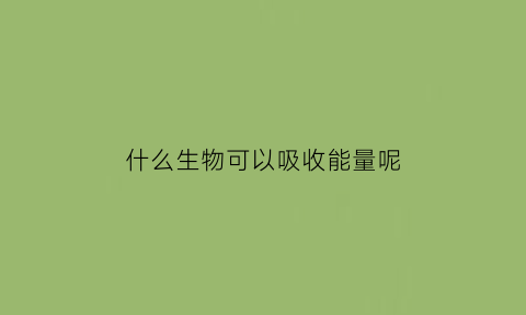 什么生物可以吸收能量呢