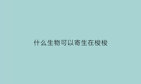 什么生物可以寄生在梭梭(什么可以寄生在别的植物上生存)