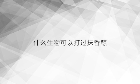 什么生物可以打过抹香鲸(抹香鲸能打过虎鲸吗)