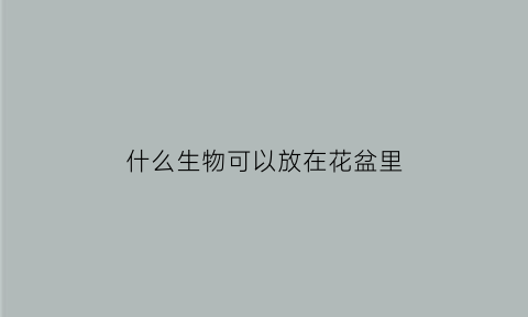 什么生物可以放在花盆里(什么生物可以放在花盆里面)