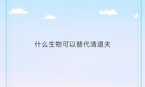 什么生物可以替代清道夫