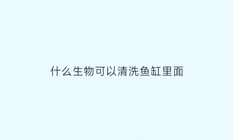 什么生物可以清洗鱼缸里面