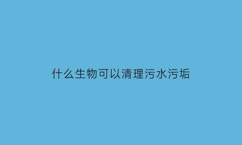 什么生物可以清理污水污垢