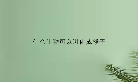 什么生物可以进化成猴子(什么动物进化成猴子)