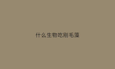 什么生物吃刚毛藻(什么动物吃刚毛藻)