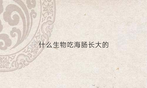 什么生物吃海肠长大的(什么生物吃海肠长大的快)
