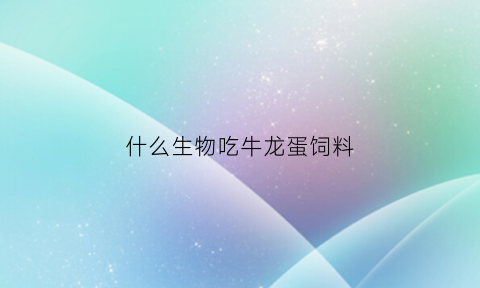 什么生物吃牛龙蛋饲料(什么生物吃牛龙蛋饲料最好)