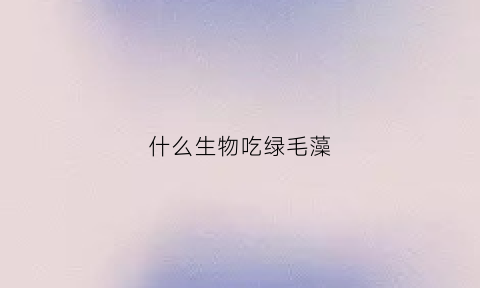 什么生物吃绿毛藻