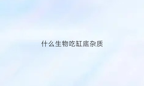 什么生物吃缸底杂质(会吃鱼缸底残渣的鱼)