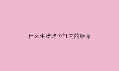 什么生物吃鱼缸内的绿藻(什么生物吃鱼缸内的绿藻最好)