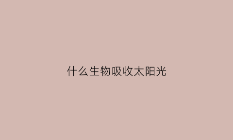 什么生物吸收太阳光(能吸收光的东西叫什么)