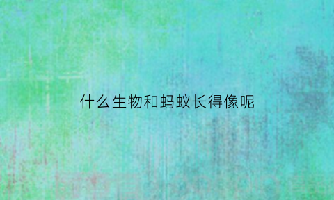什么生物和蚂蚁长得像呢(蚂蚁和什么动物相似)