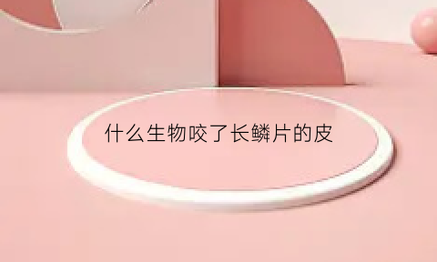 什么生物咬了长鳞片的皮(什么动物咬到会红肿)
