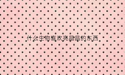 什么生物喜欢亮晶晶的东西(什么动物喜欢亮光)