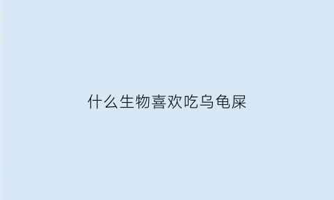 什么生物喜欢吃乌龟屎(什么生物吃乌龟粪便)