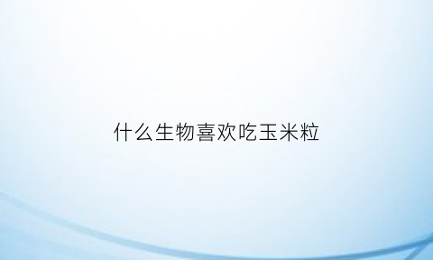 什么生物喜欢吃玉米粒(有什么动物喜欢吃玉米)