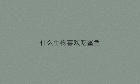 什么生物喜欢吃鲨鱼(什么鲨鱼爱吃人)