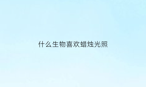 什么生物喜欢蜡烛光照