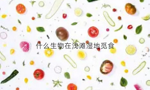 什么生物在浅滩湿地觅食(生长在湿地的动物)
