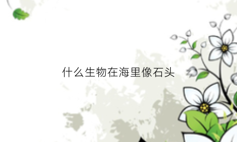 什么生物在海里像石头(什么生物在海里像石头似的)