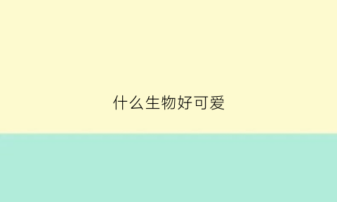 什么生物好可爱(什么动物比较可爱)