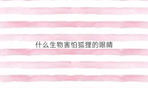 什么生物害怕狐狸的眼睛(狐狸最害怕什么植物)