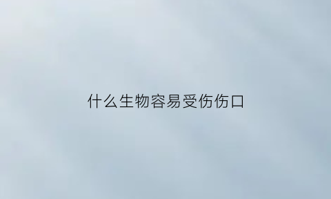 什么生物容易受伤伤口(什么动物会治疗伤口)