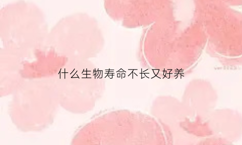 什么生物寿命不长又好养(什么动物寿命不长)