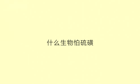 什么生物怕硫磺(什么虫子怕硫磺)