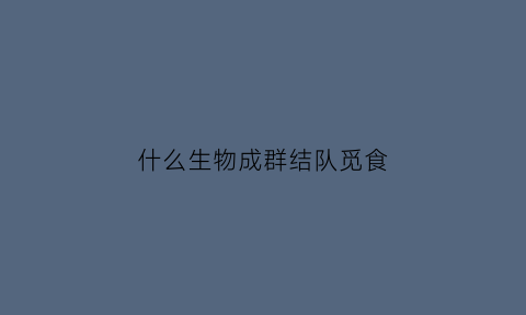 什么生物成群结队觅食(成群觅食的动物)