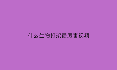 什么生物打架最厉害视频(打架凶猛的动物)