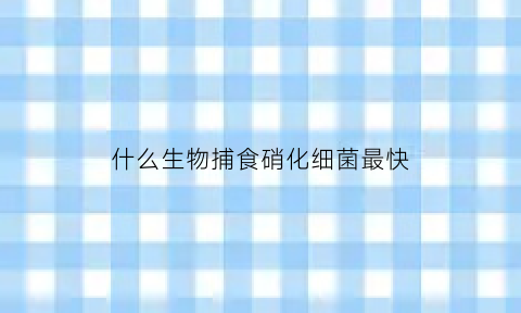 什么生物捕食硝化细菌最快(什么硝化细菌最好)