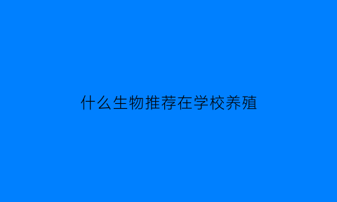 什么生物推荐在学校养殖(适合在学校养的鱼)