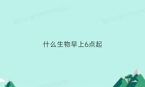 什么生物早上6点起