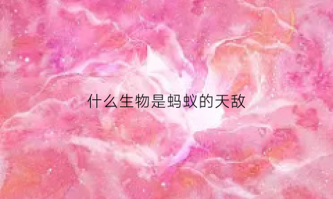 什么生物是蚂蚁的天敌(哪些昆虫是蚂蚁的天敌)