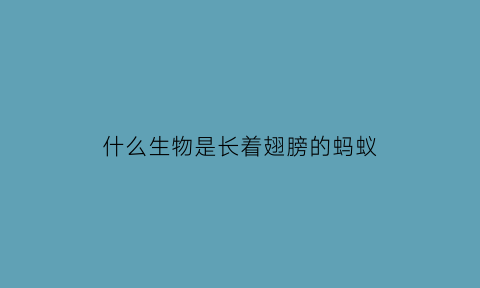 什么生物是长着翅膀的蚂蚁(长翅膀的蚂蚁是什么动物)